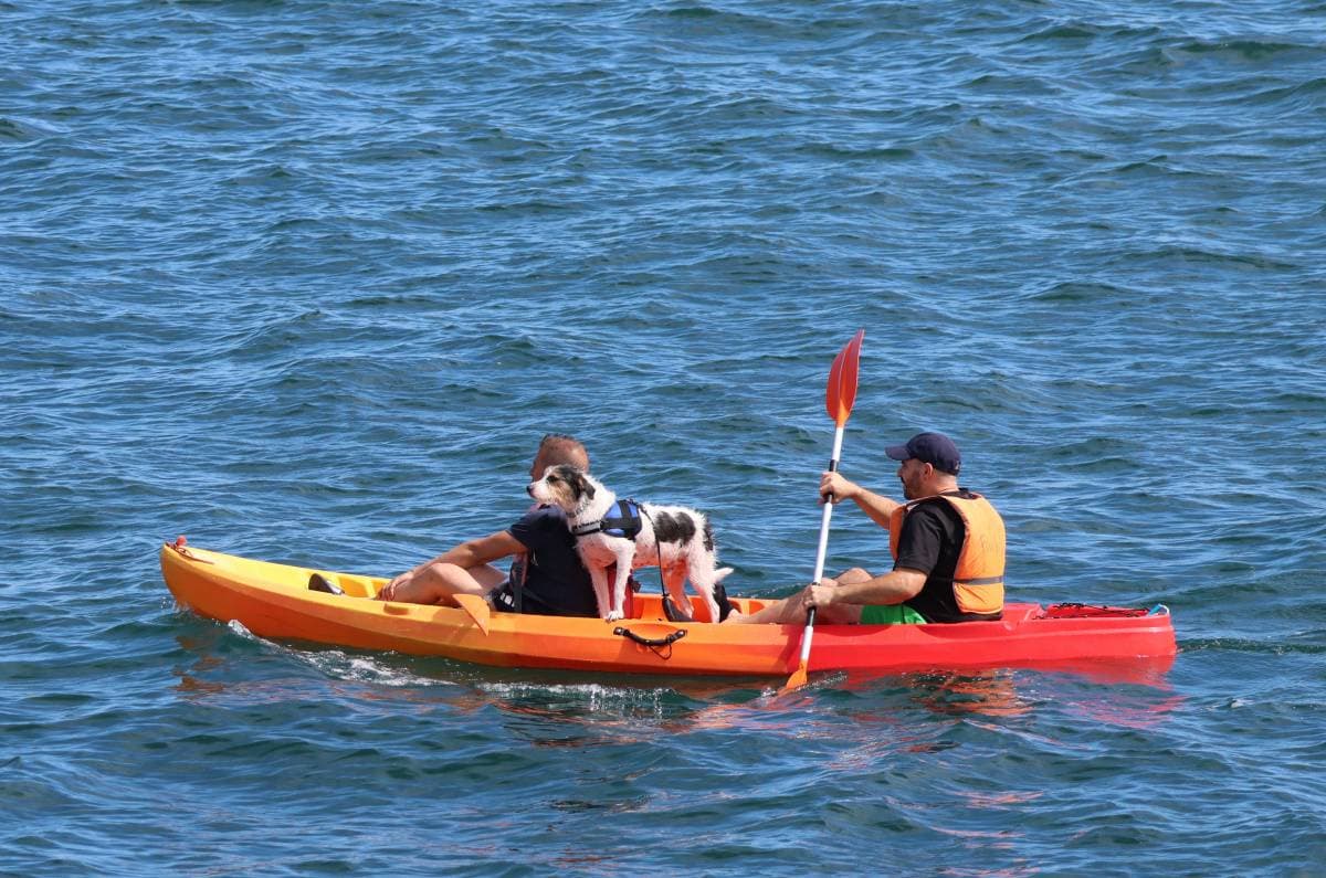 Kayak Marina Real Malvarrosa — Galería 4/4
